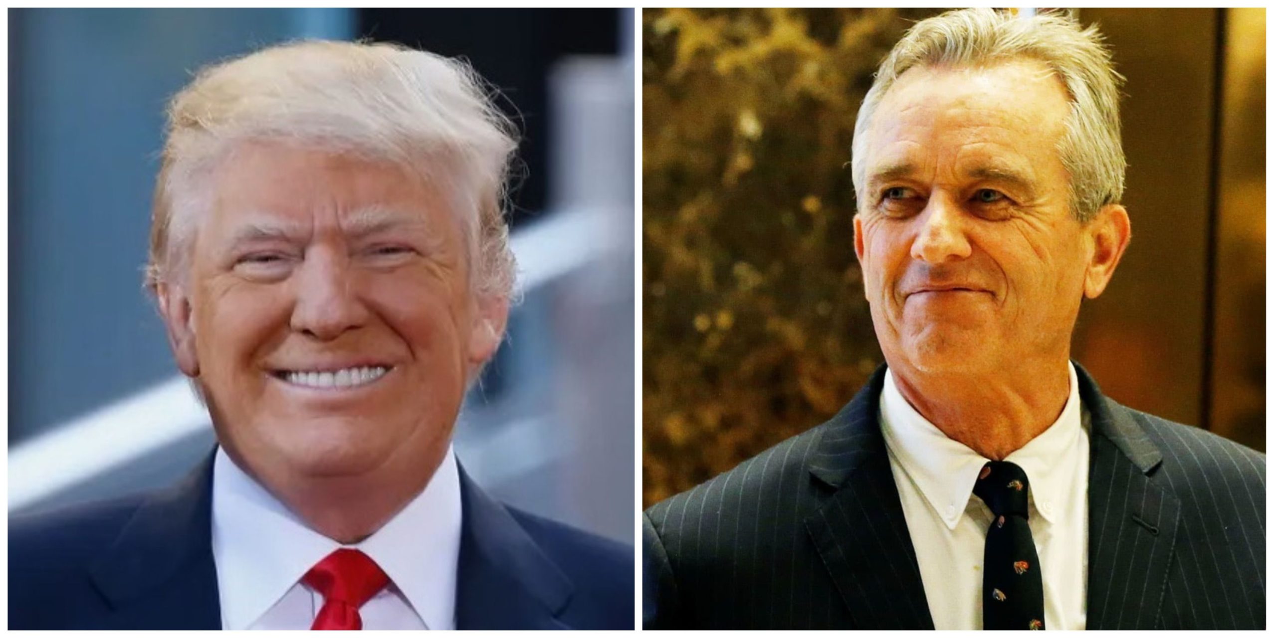 Here is How President Trump Can Team with RFK Jr. to win the 2024 Election