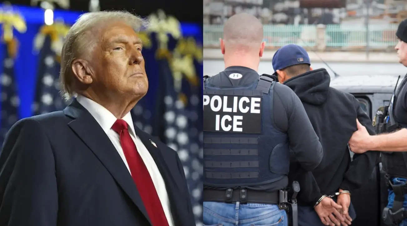 President Trump, Here is How to Make Mass Deportation Great Again!