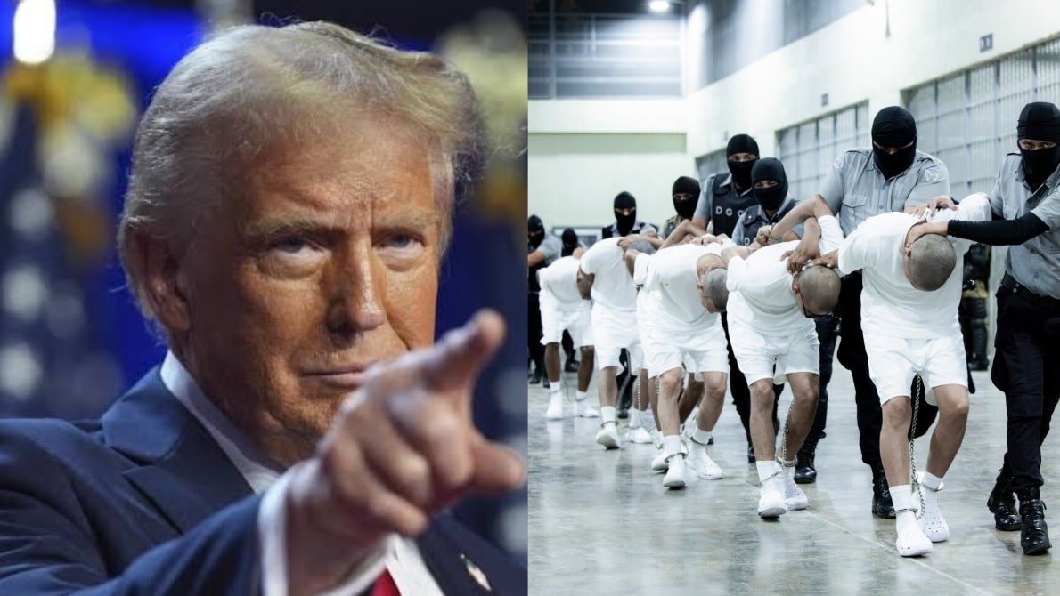 Here is How President Trump Can Defeat the “Resistance Judges” and Deport 20+ Million Illegal Alien Invaders F-A-S-T